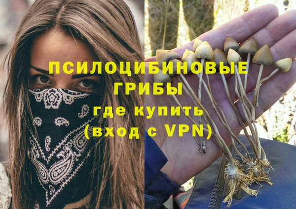 молекула духа Армянск